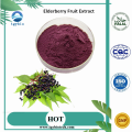 Anthocyanin Black Elderberry Extract /Elderberry Fruit Extract Powder Factory