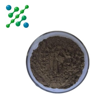 Black Garlic Extract Powder