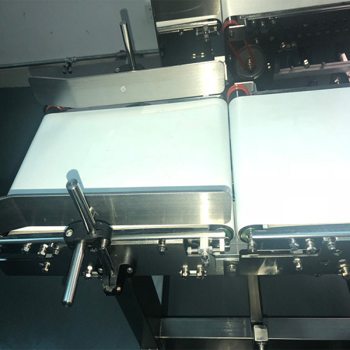 Belt Conveyor Check Weighing Detector Machine