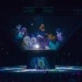 Foil de película de Projetcion de holograma para el rendimiento del escenario