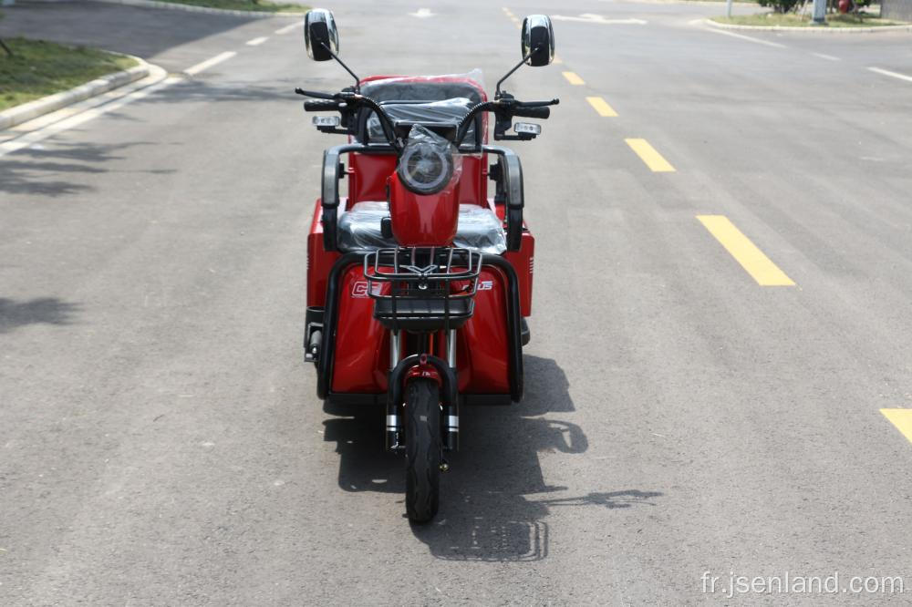 3 roues gras gros pneu cargo électrique tricycle