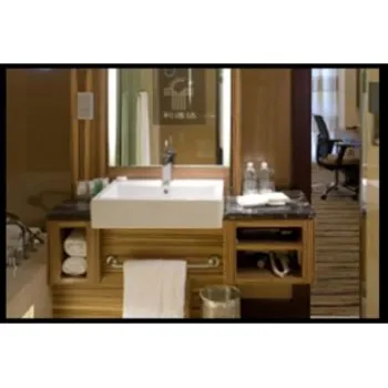 Hotel Furniture(Handwash)