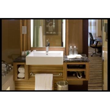 Hotel Furniture(Handwash)
