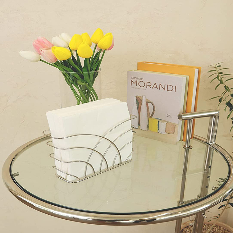 Stainless steel napkin display