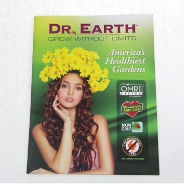Wholesale cheap instruction booklet/pamphlet printing