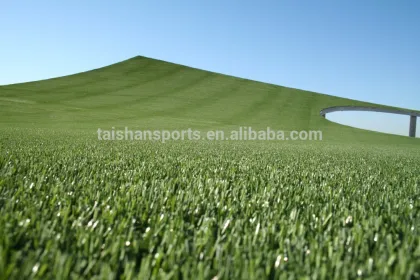 Artificial Grass for sports flooring, baseball , Futsal venue, football artificial grass, grass artificial