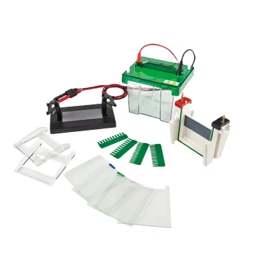 Mini-Gel Electrophoresis Analyzer for DNA and RNA