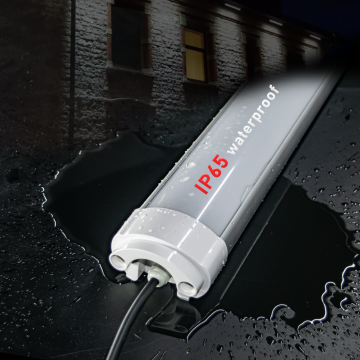 Großhandel im Freien Aluminium IP65 Triofes LED LED LEGEAR