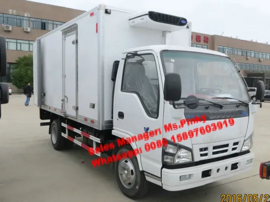 Japanese Technology Truck with Refrigerator Van 600P Freezer Truck For Meat and Fish transportation