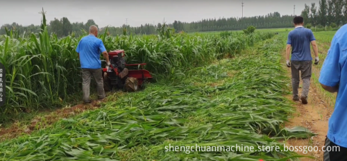 Grass Cutter and Rice Harvester: Agricultural Machinery Equipment for Fruit Reaping