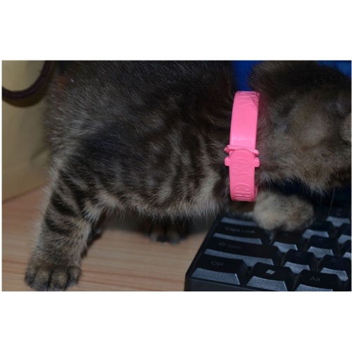 Collana per gatto per compagni di gatto per animali domestici in silicone anti-mosquito