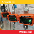 Crane Hook Electronic Scale