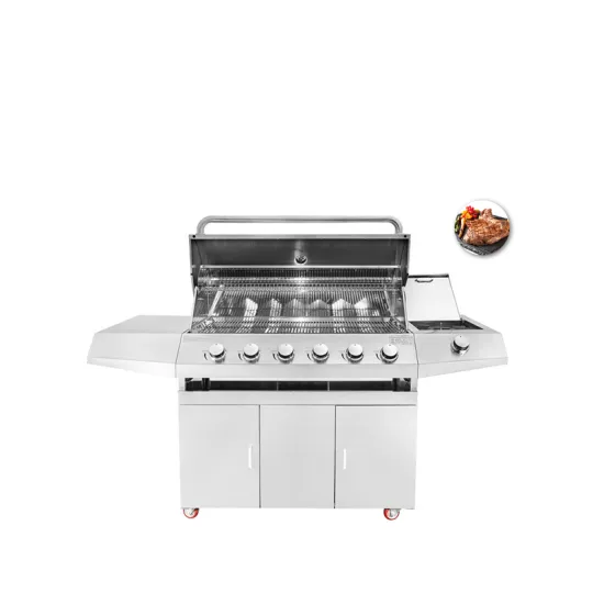 Stainless Steel Barbeque Gas Bbq Outdoor Grill