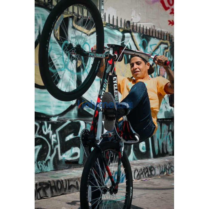 बॉन्डिंग मेटल साइकिल पाउडर पेंट