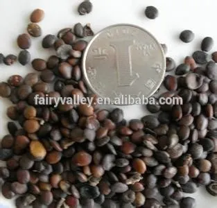 Beautiful Judas Tree Chinese Redbud Bauhinia Flower Tree Seeds For Growing