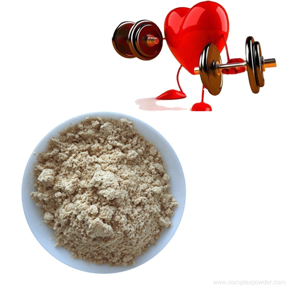 Best Selling Product Ginger Root Extract Powder Gingerols