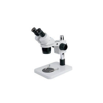 Microscope à double temps TS-70S pour les échantillons de blocs fixes
