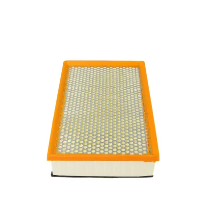 Free Sample Cartridge Air Filter Filtros Automotrices 13717505007