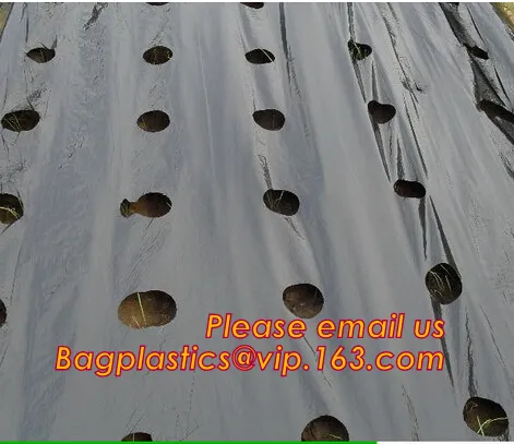 Mulching Film Used For Fruit Vegetable, pe agriculture film/pe black plastic mulch