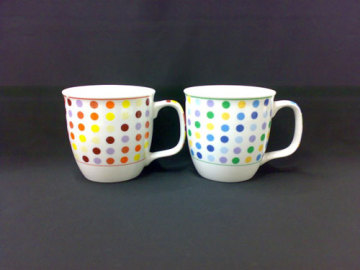 mug dy507