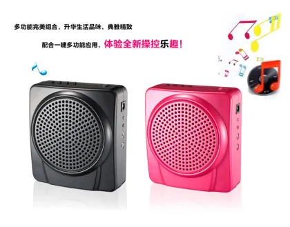Mini USB speaker Portable Waistband Voice Booster Mini Amplifier Loudspeaker ,microphone,audio amplifier, megaphone FM N99