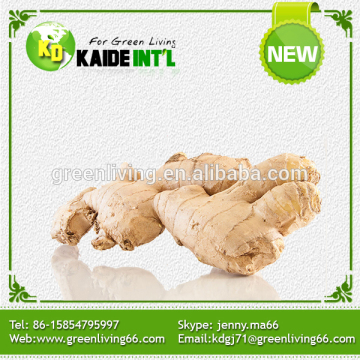 High Quality Chinese Ginger Roots