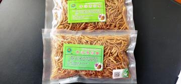 fish feed with mealworm