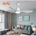 Ceiling Fan Light for Increased Air Circulation