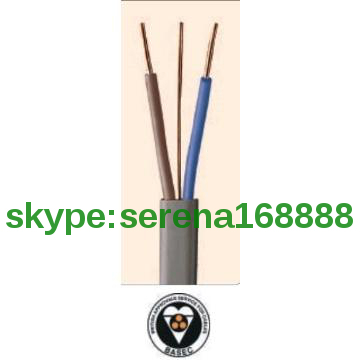 HIGH QUALITYBASEC APPROVAL   PVC Insulated Flat Twin and Earth Cable 6