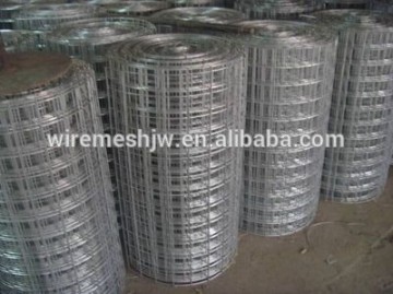 High Quality Bright Surface Galvanized Welded Wire Mesh Netting/Strong Mesh Netting