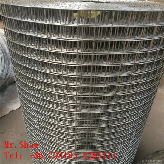 3/4" Hot-Dip Galavnized Welded Wire Mesh