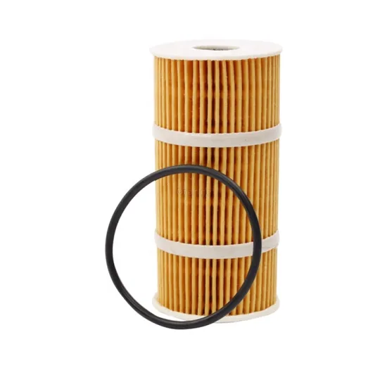 Low Price Guaranteed Quality OEM 6221800009/A6221800000 Oil Filter for Nissan 2020 Ruiqi 6
