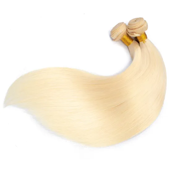 Top Quality Unprocessed Raw Human Hair Extensions Cuticle Aligned Hair Bundles Free Sample Straight Brazilian Hair 613 Bundles