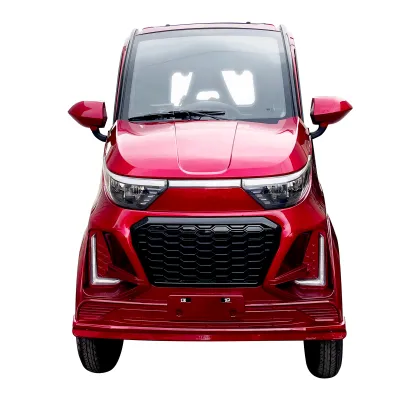 Family Use Smart Electric Car