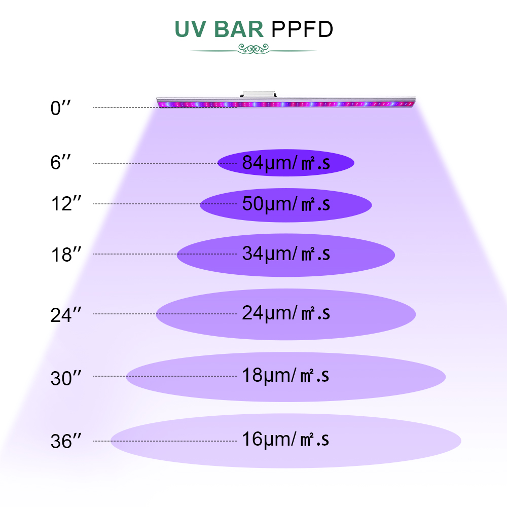 uv bar