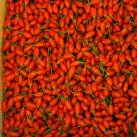 Hot sale Ningxia 100% Natural Goji Juice