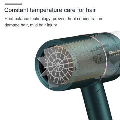 Pritech High Speed DC Motor Travel Size Hair Dryer with Cool Shot Function