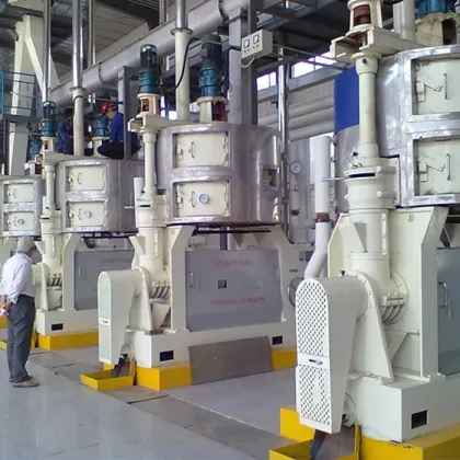 Oil Pressing Equipment for Maize Germ