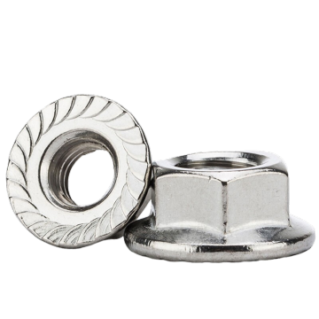 Best Deals on M6 Hot Sale Stainless Steel 304 Hexagon Flange Nuts - DIN6923