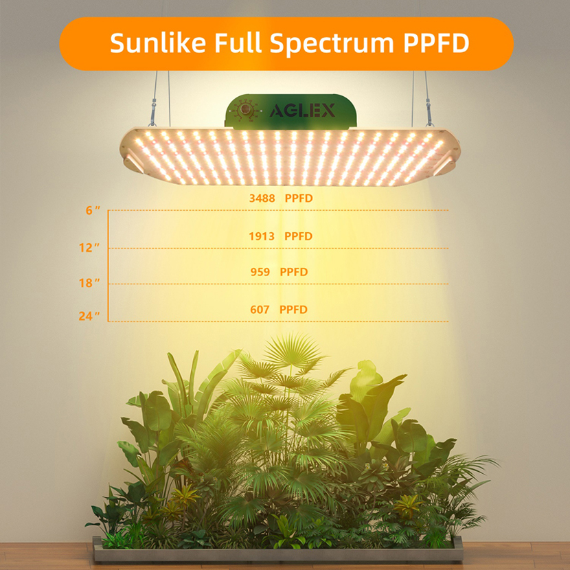 LED Grow Light Spectrum Penuh untuk Pertanian Taman