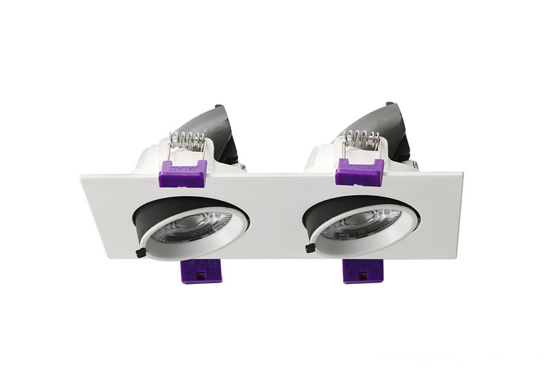 two head LED trunk downlight 