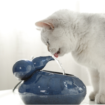 Automatic Ceramic Hoist Pet Water Fountain