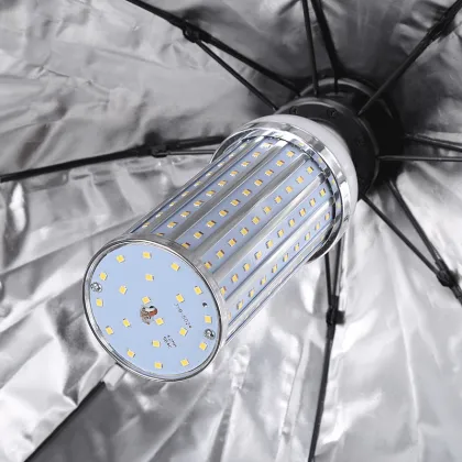 Octagon Photo Video Studio: Lighting & Streaming Equipment