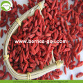 Factory Supply Fruits Premium Red Goji Berry