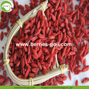 Bekalan Kilang Buah Premium Goji Berry Merah