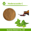 Klimopbladextract Hederacoside C 10% poeder