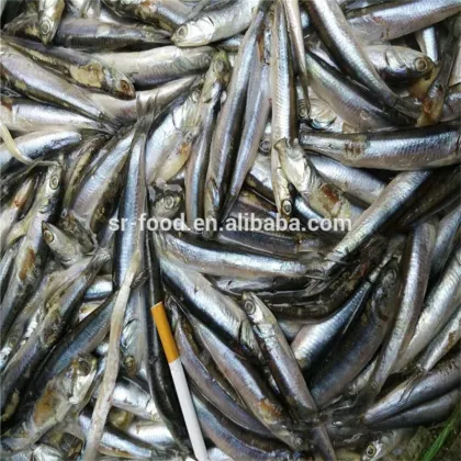 Frozen block anchovy