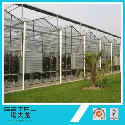 Economical greenhouse/Vegetable greenhouse/Flower greenhouse/Seeding greenhouse