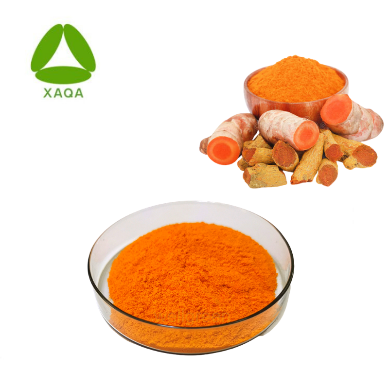 Turmeric Extract