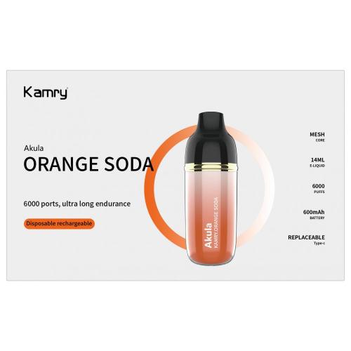 일회용 vape kamry akula vape pod 도매 6000